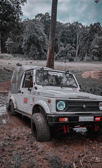 型的对手 型的对手