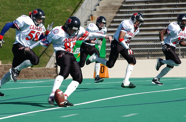 力和不懈努 力和不懈努