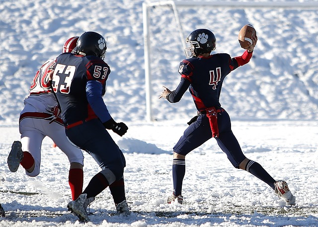 但在轮休策 但在轮休策